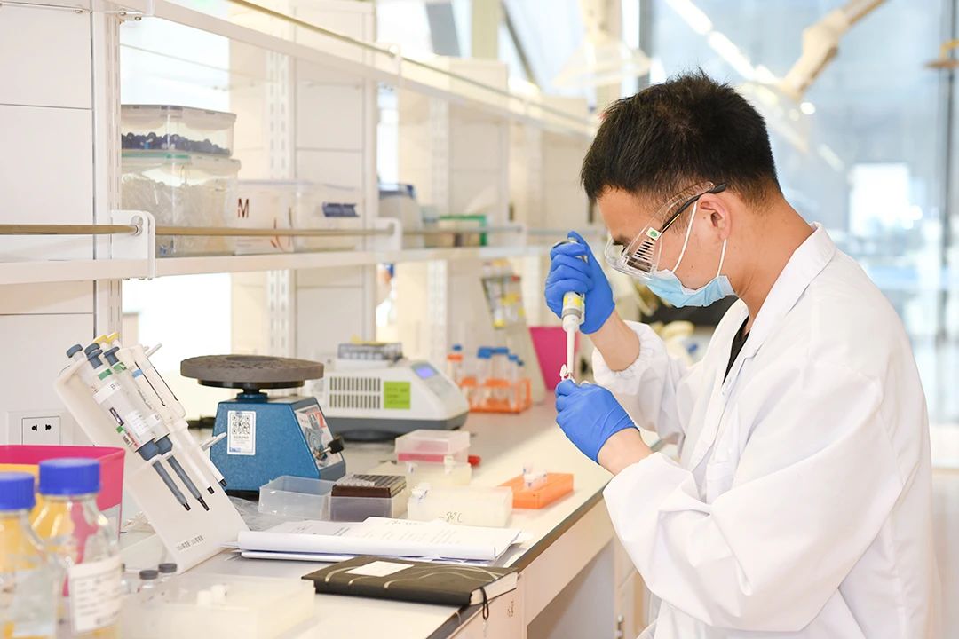 »Æ½ð³Ç¼¯ÍÅ¡¤(ÖйúÇø)¹Ù·½ÍøÕ¾