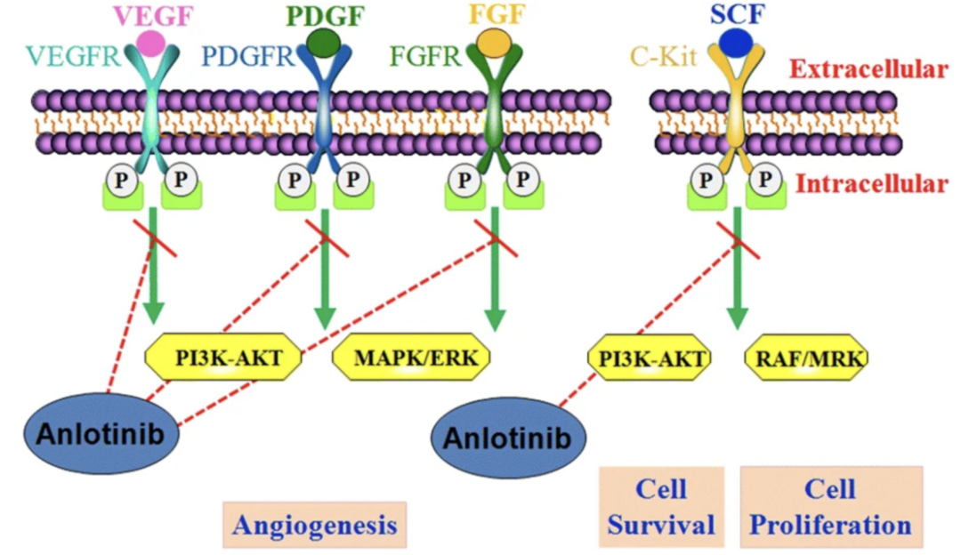 �ƽ�Ǽ��š�(�й���)�ٷ���վ
