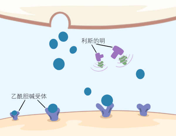 �ƽ�Ǽ��š�(�й���)�ٷ���վ