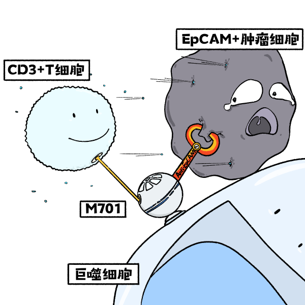 �ƽ�Ǽ��š�(�й���)�ٷ���վ