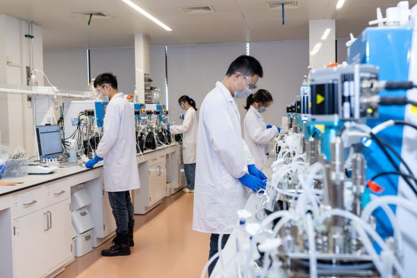 黄金城集团·(中国区)官方网站