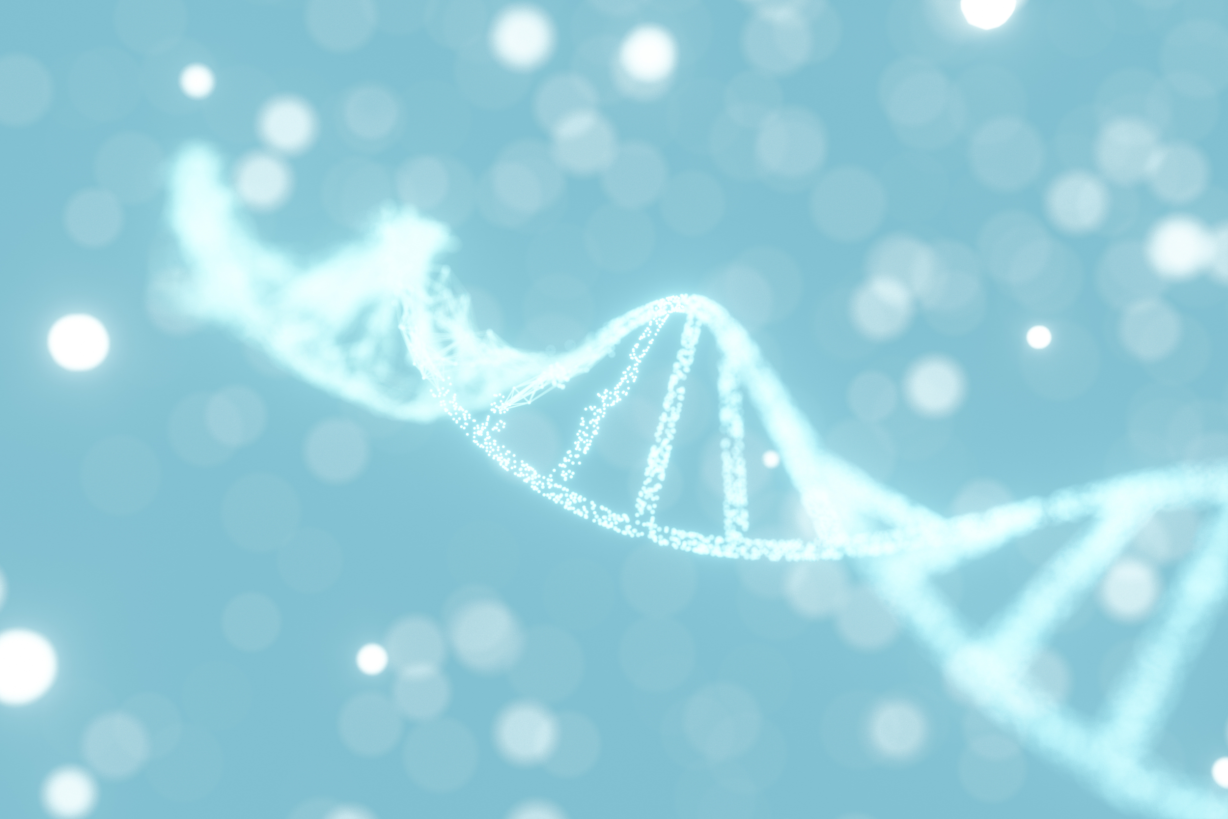 ��˽����������������